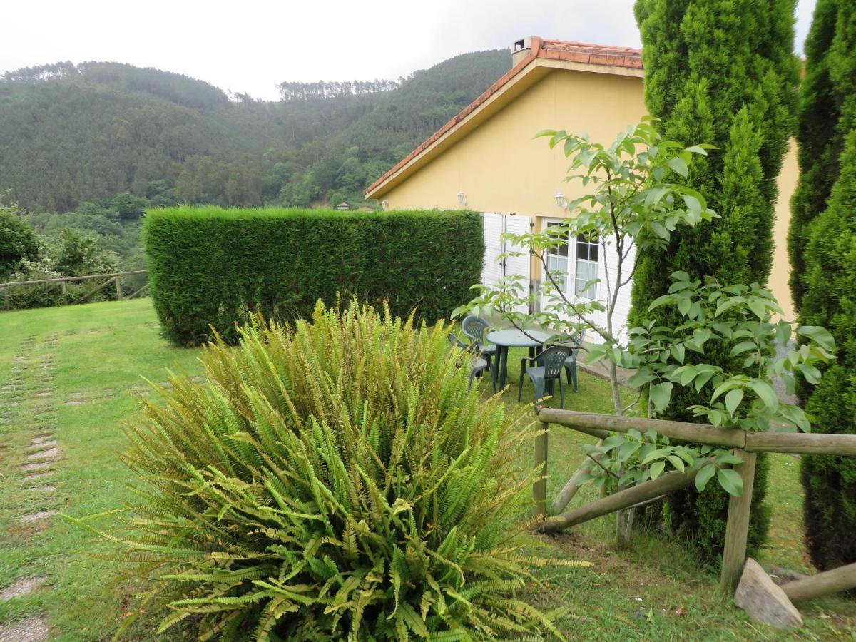 Apartamentos El Otero De Cudillero Soto de Luiña Værelse billede